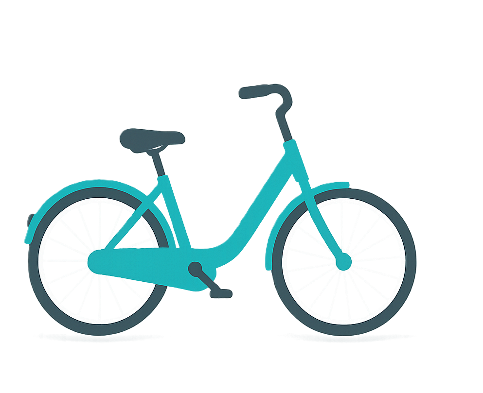 Bicicleta real